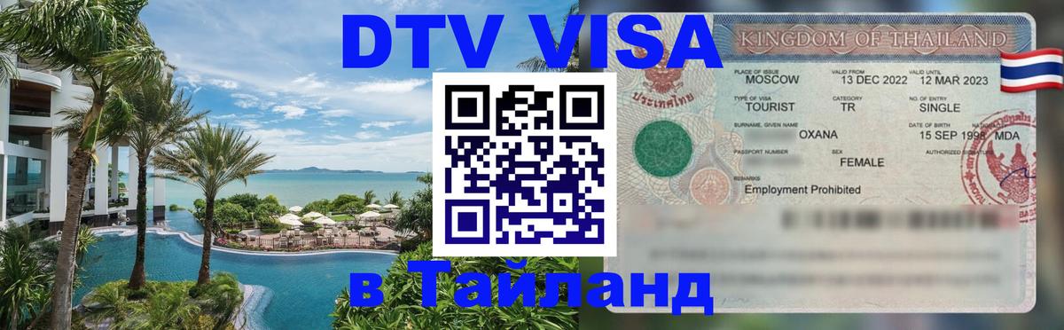 Сколько стоит DTV виза — актуальные цены, оформление даже без документов - 06.12.2025 